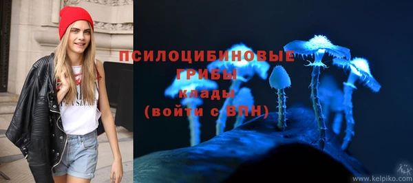 молекула духа Нягань