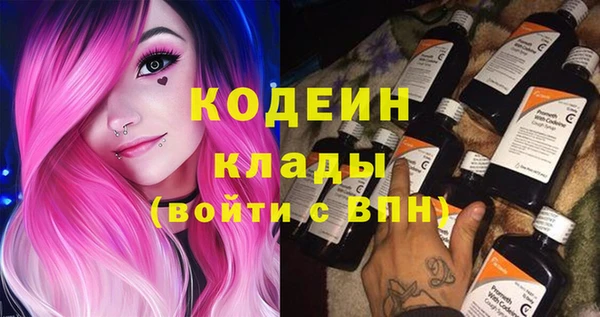 молекула духа Нягань