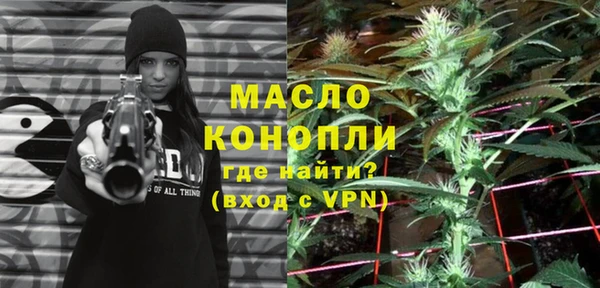 молекула духа Нягань