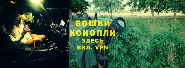 молекула духа Нягань
