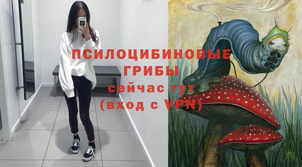 гидропоника Нязепетровск