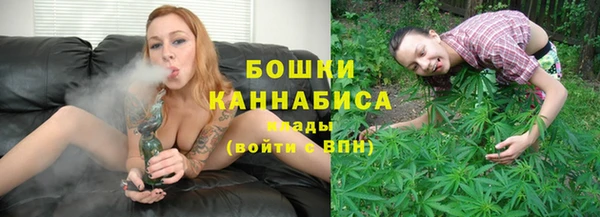 Альфа ПВП Инта