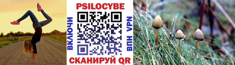 Псилоцибиновые грибы мухоморы  кракен как зайти  Байкальск  купить закладку 