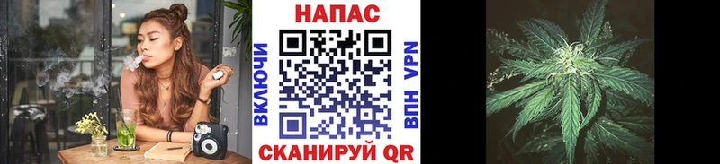 где найти   Байкальск  Бошки Шишки OG Kush 
